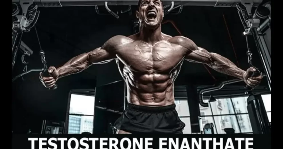 Testosterone enanthate